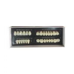 Acrylic teethAC3-JAW D2